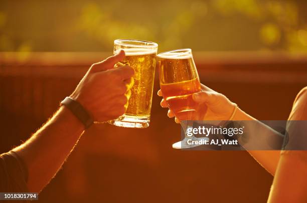 drinks are a great idea with weather like this - lager stock pictures, royalty-free photos & images