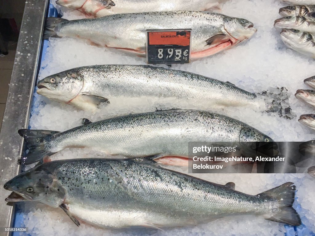 Fresh raw salmon fish  for sale  at local market in Ibiza, Spain