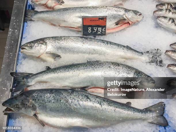 fresh raw salmon fish  for sale  at local market in ibiza, spain - preço imagens e fotografias de stock