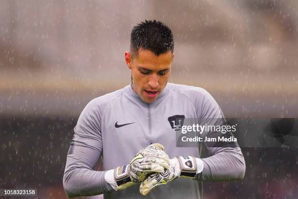 Alfredo Saldivar Goalkeeper of Pumas during the fourth round match between Pumas UNAM and Pachuca as part of the Torneo Apertura 2018 Liga MX at...