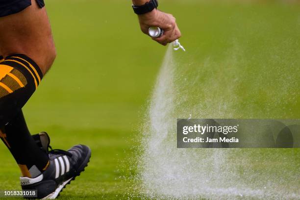 Referee uses vanishing spray during the fourth round match between Pumas UNAM and Pachuca as part of the Torneo Apertura 2018 Liga MX at Olimpico...