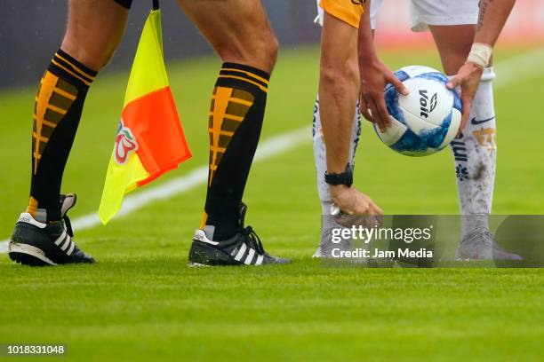 Referee uses vanishing spray during the fourth round match between Pumas UNAM and Pachuca as part of the Torneo Apertura 2018 Liga MX at Olimpico...