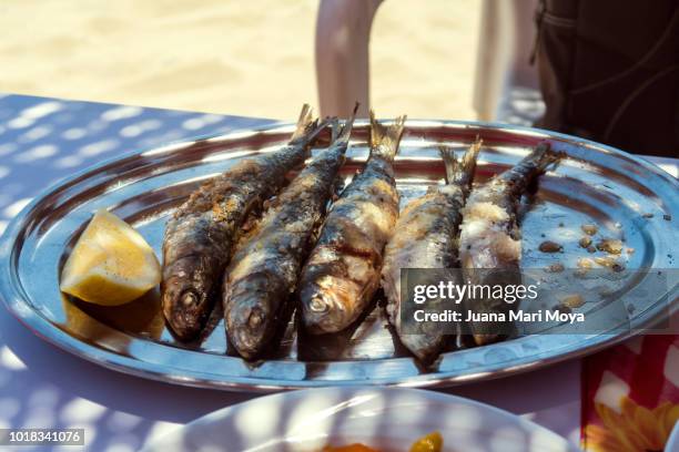 typical dish of the costa del sol, in estepona, málaga, andalucia, spain.  grilled sardines  it's called espeto - malaga beach bildbanksfoton och bilder