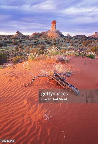 australia, simpson desert, chamber pillars - simpson desert stock-fotos und bilder