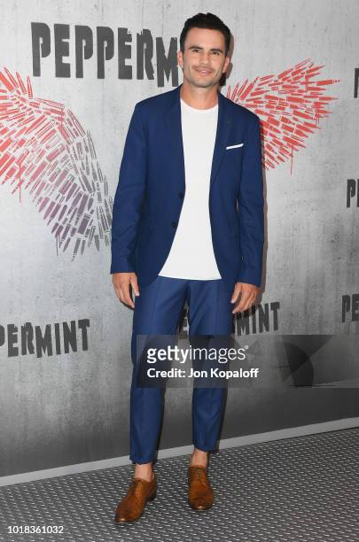 Juan Pablo Raba attends the photo call For STX Films' "Peppermint" at Four Seasons Hotel Los Angeles at Beverly Hills on August 17, 2018 in Los...