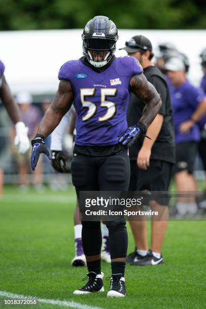 Baltimore Ravens outside linebacker Terrell Suggs runs through a drill during the Indianapolis Colts joint training camp practice with the Baltimore...