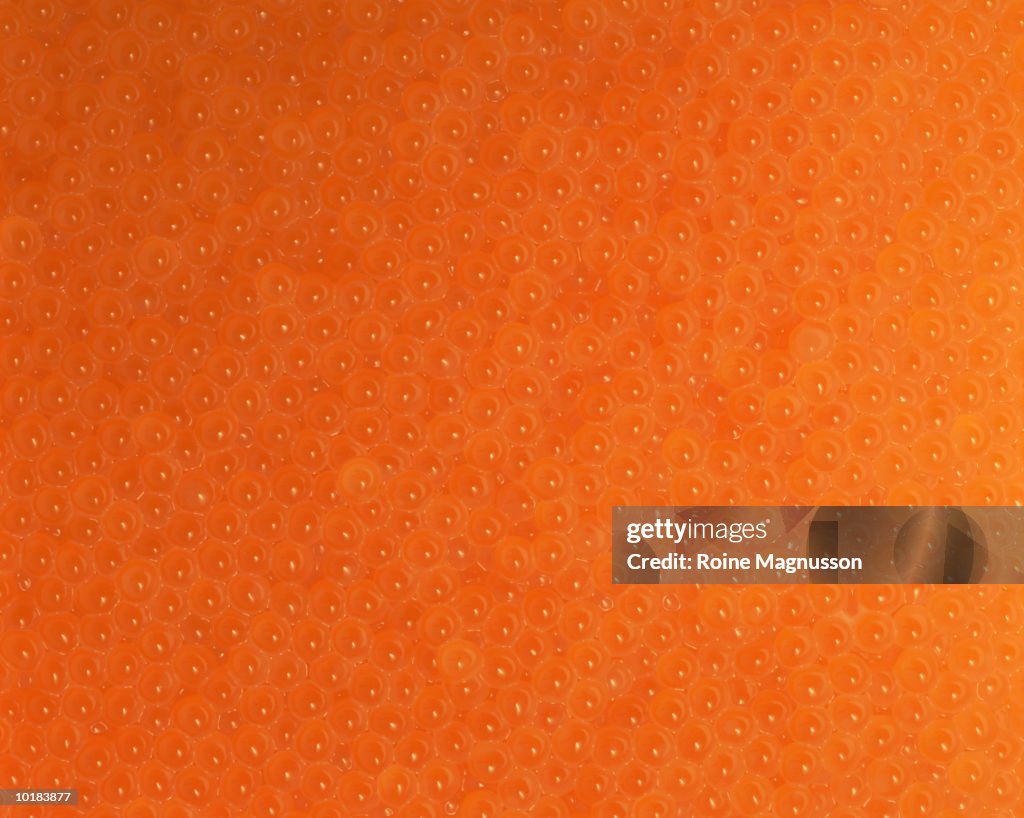 Salmon Roe Frame Salmon Roe Full Frame High-Res Stock Photo - Getty Images
