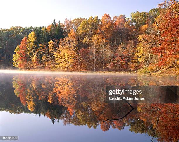 usa, indiana, strahl lake, autumn foliage - v indiana stock pictures, royalty-free photos & images