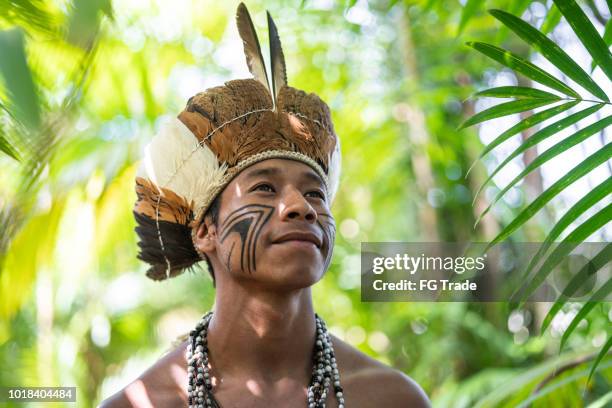einheimischen jüngling brasilianischen porträt von guarani ethnizität - indio stock-fotos und bilder