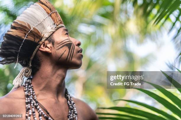 ritratto di giovane brasiliano indigeno dall'etnia guarani - brazilian culture foto e immagini stock