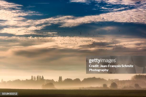 early autumn morning on the waterloo battlefield, october 2016 - waterloo belgique photos et images de collection