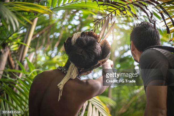 indigenous brazilian young man from guarani ethnicity showing the rainforest to tourist - minority groups stock pictures, royalty-free photos & images