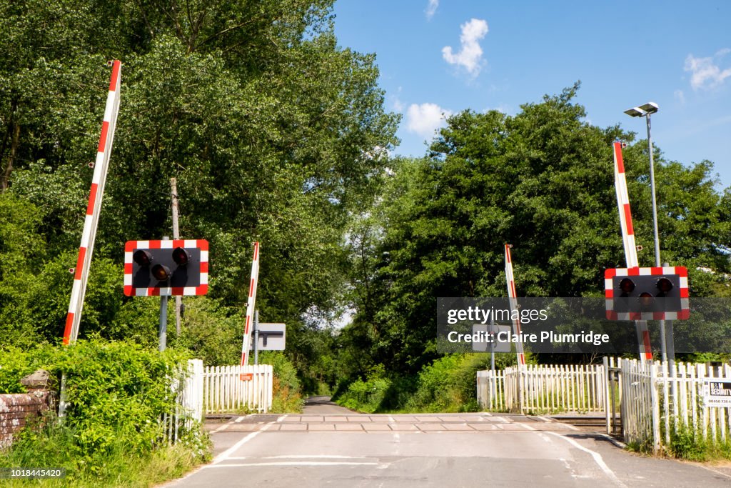Country road with a railroad level crossing with the gates raised.