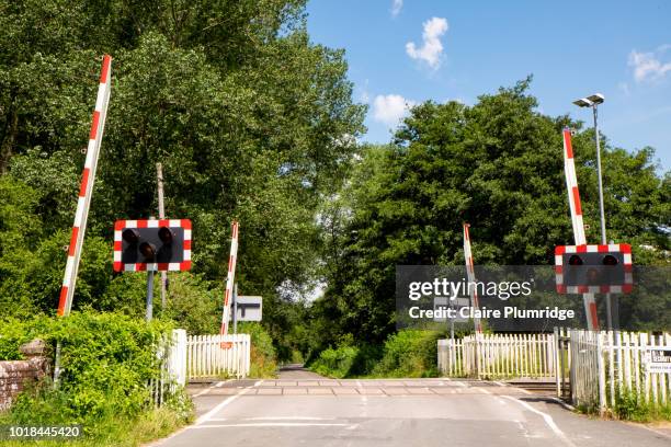 country road with a railroad level crossing with the gates raised. - level crossing stock pictures, royalty-free photos & images