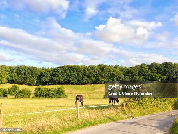 view across fields - berkshire stock pictures, royalty-free photos & images