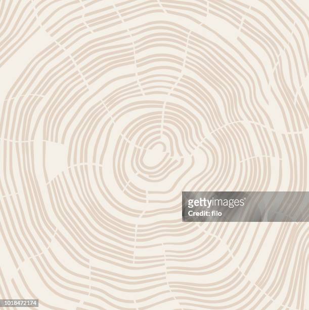 木の成長リング - 林点のイラスト素材／クリップアート素材／マンガ素材／アイコン素材