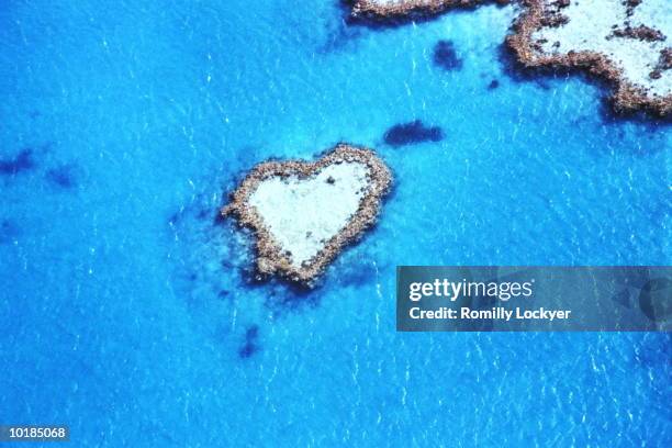 australia, queensland, great barrier reef, heart reef, aerial view - pazifik stock-fotos und bilder