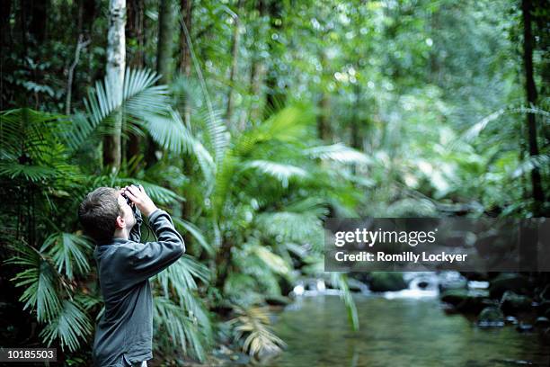 australia, queensland, daintree national park, boy (7-9) in rainforest - explore jungle stock pictures, royalty-free photos & images