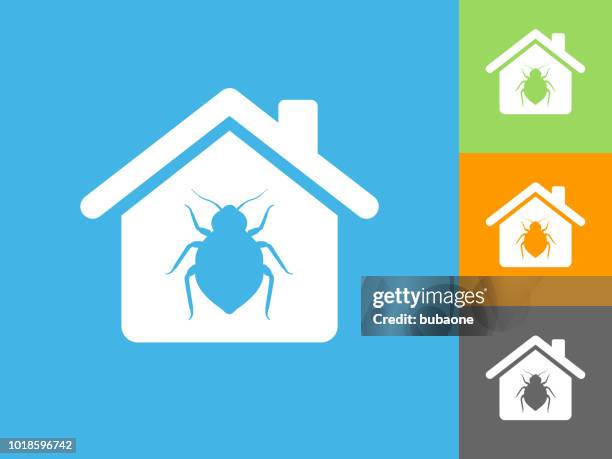bedbugs at home flat icon on blue background - bed bug concept stock illustrations