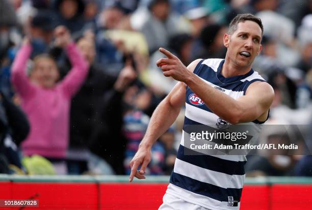 Harry Taylor of the Cats celebrates a goal during the 2018 AFL round 22 match between the Geelong Cats and the Fremantle Dockers at GMHBA Stadium on...