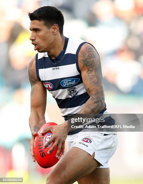 Tim Kelly of the Cats in action during the 2018 AFL round 22 match between the Geelong Cats and the Fremantle Dockers at GMHBA Stadium on August 18,...