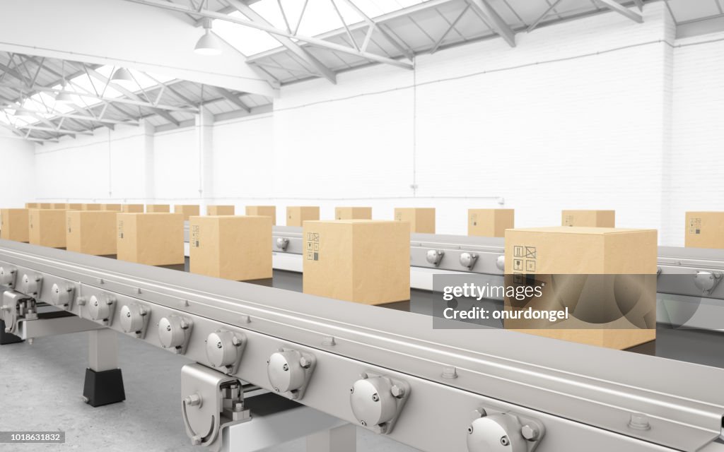 Cardboard boxes on conveyor belt