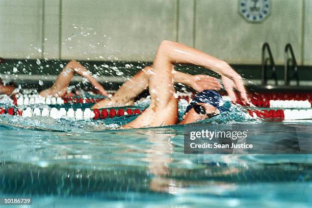 swimmers in freestyle race in pool - length stock pictures, royalty-free photos & images