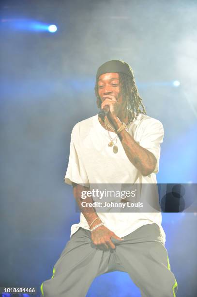 Wiz Khalifa performs on stage at Perfect Vodka Amphitheatre on August 17, 2018 in West Palm Beach, Florida.