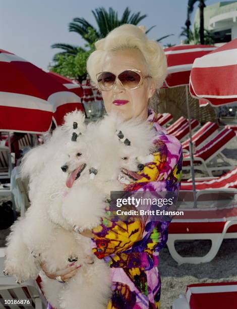 mature woman on beach holding poodles, portrait - alleen seniore vrouwen stockfoto's en -beelden