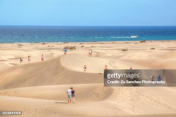 dunes of maspalomas - grand canary stock pictures, royalty-free photos & images