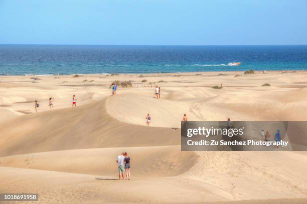 dunes of maspalomas - gran canaria bildbanksfoton och bilder