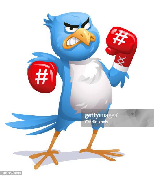 blauer vogel mit boxhandschuhen - funny boxing stock-grafiken, -clipart, -cartoons und -symbole