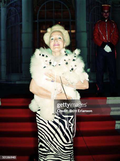 mature glamorous woman holding poodles, portrait - wealth abundance stock pictures, royalty-free photos & images