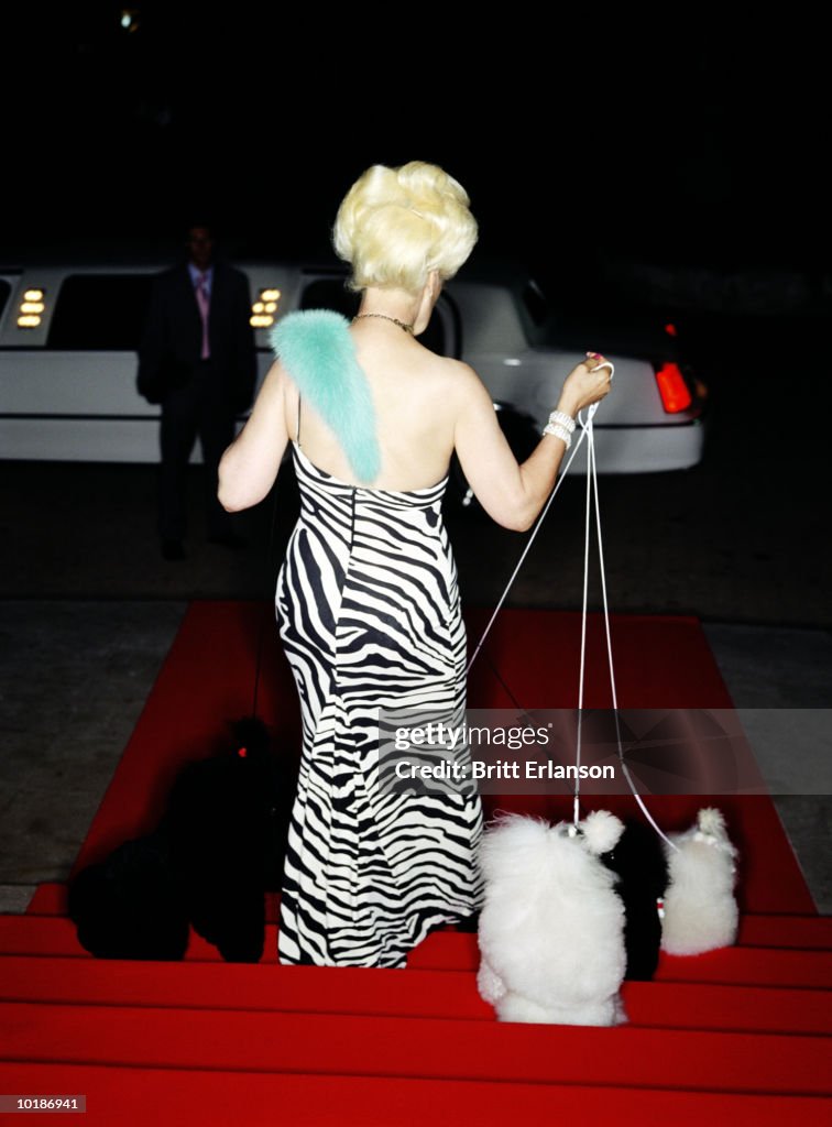 MATURE GLAMOROUS WOMAN WITH POODLES, REAR VIEW