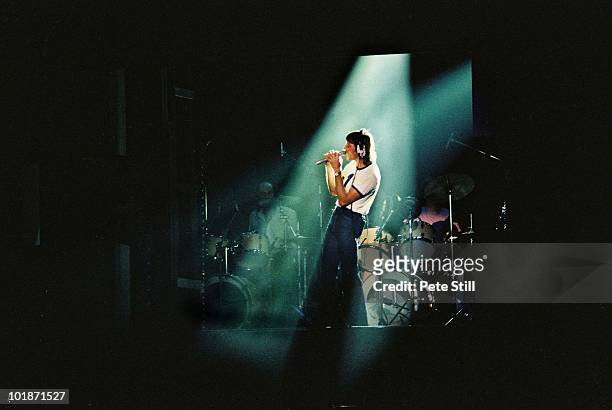 Roger Waters of Pink Floyd performs on stage at Earls Court Arena on 'The Wall' tour, on August 7th, 1980 in London, England.