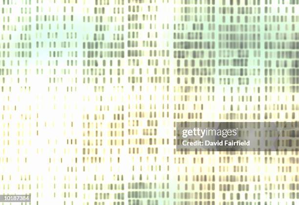 dna (deoxyribonucleic acid) pattern, full frame - genetic research stock pictures, royalty-free photos & images