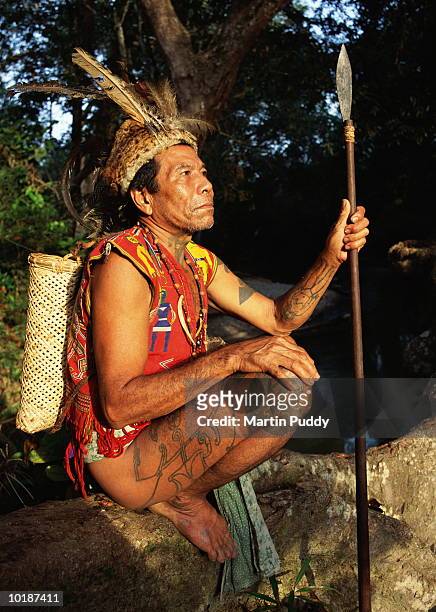 malaysia, sarawak, iban shaman wearing traditional dress - île de bornéo photos et images de collection