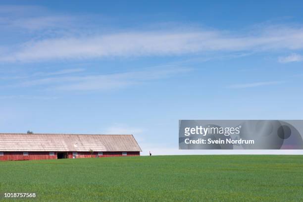 farm - farm norway stock pictures, royalty-free photos & images
