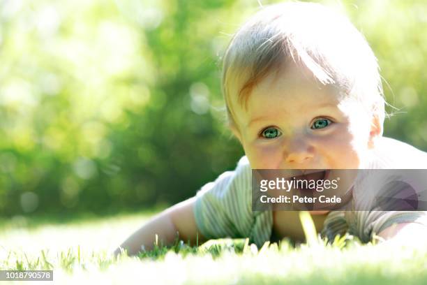 baby playing on grass - 男の赤ちゃん一人 ストックフォトと画像