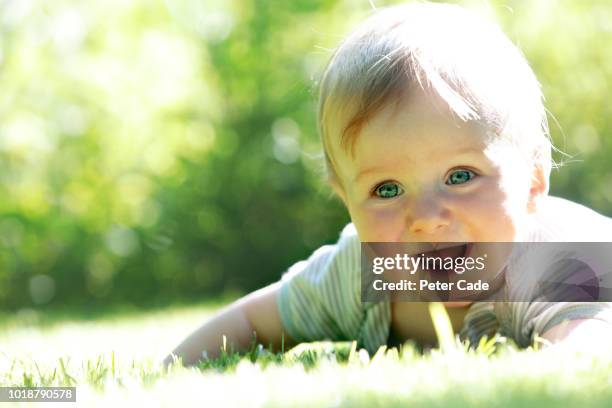 baby playing on grass - alleen één jongensbaby stockfoto's en -beelden