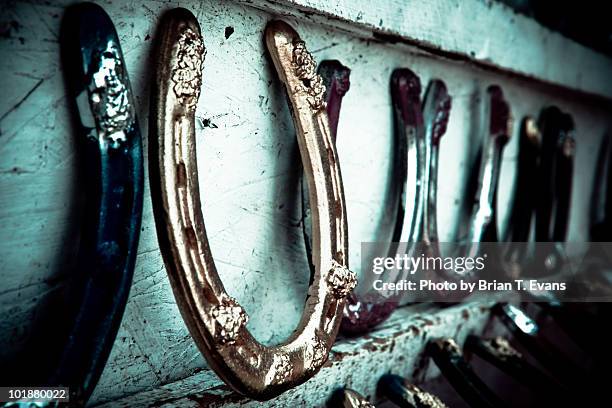 lucky horseshoes - horseshoes stockfoto's en -beelden