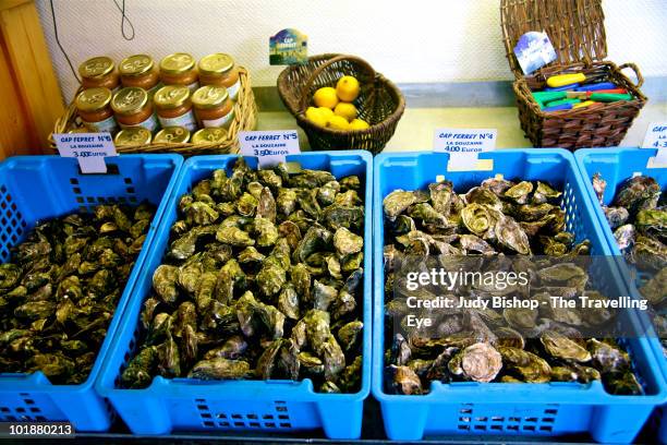 fresh sales at french oyster producer's hut - cap ferret fotografías e imágenes de stock