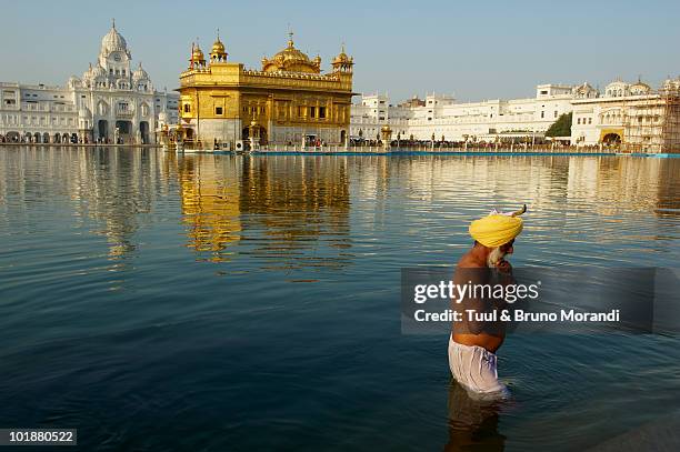 india, penjab, amritsar, golden temple - amritsar stock-fotos und bilder