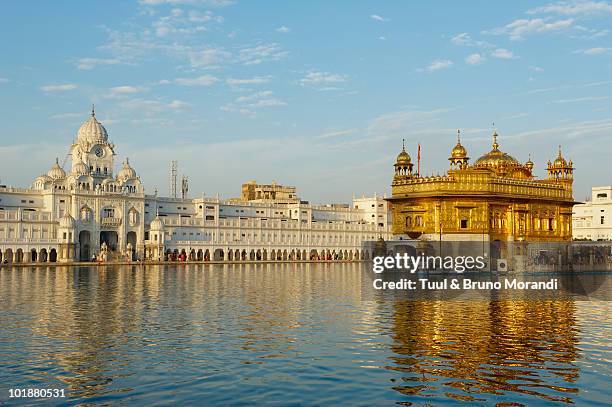 india, penjab, amritsar, golden temple - amritsar imagens e fotografias de stock