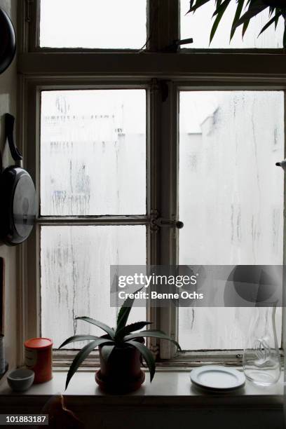 Window Sill Raining Window Sill Rain Photos and Premium High Res Pictures - Getty Images