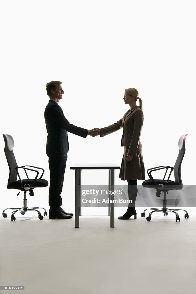 A businessman and businesswoman shaking hands