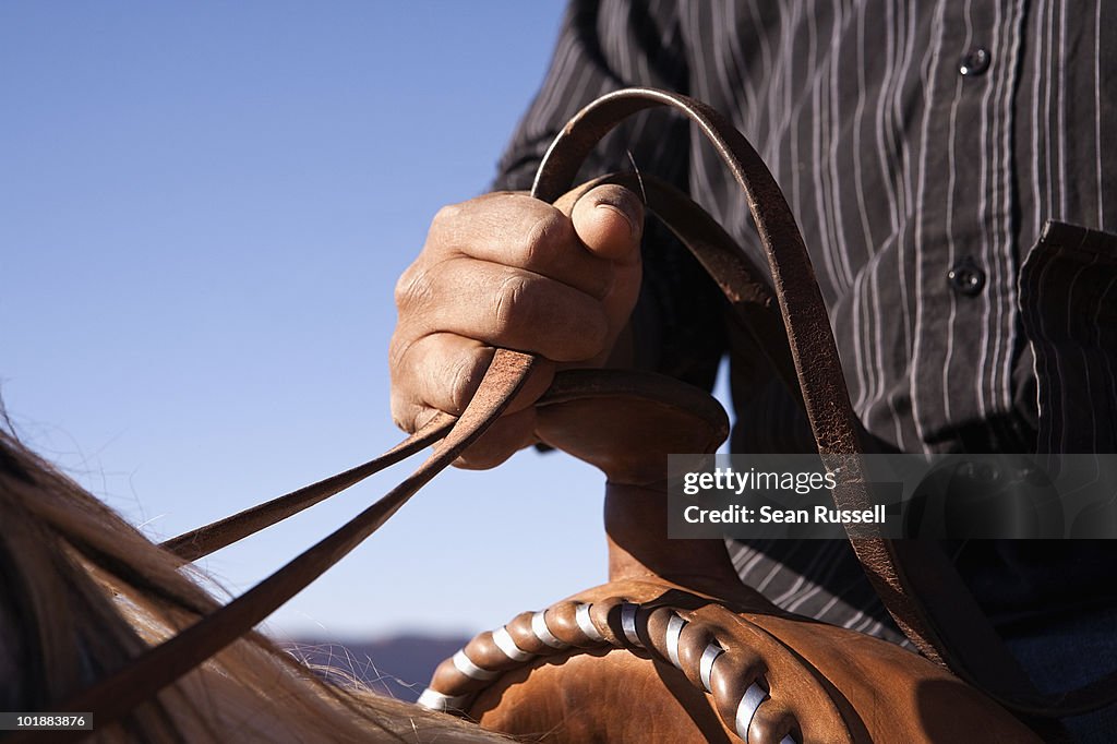 Man holding the reins of horse, close-up, focus on hand