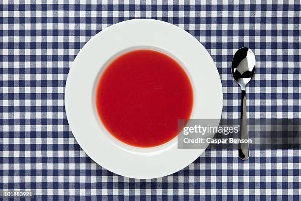 high angle view of a bowl of tomato soup - ギンガムチェック ストックフォトと画像