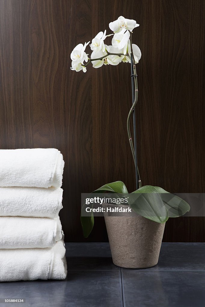 A stack of towels and potted white Moth Orchid