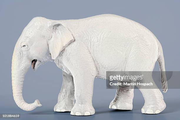 a white elephant - white elephant stock-fotos und bilder